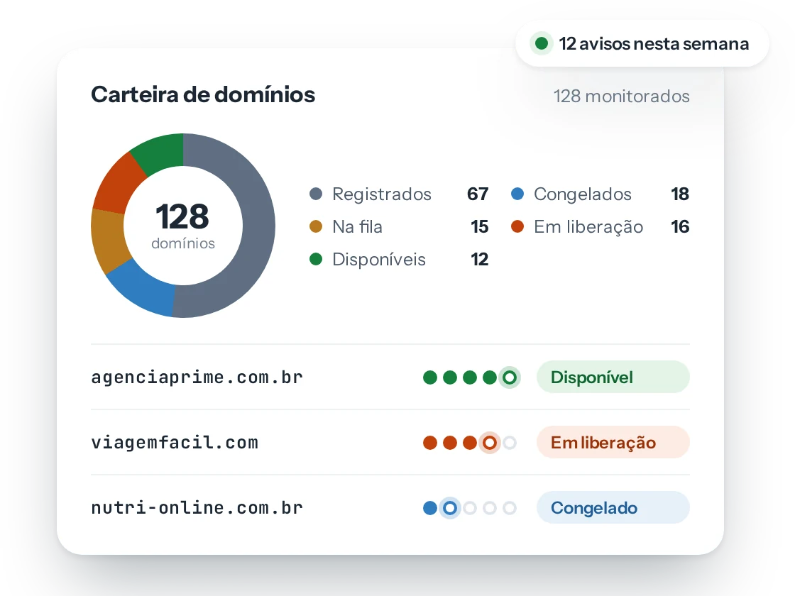 Painel com uma carteira de domínios dividida por etapa: registrados, congelados, na fila, em liberação e disponíveis